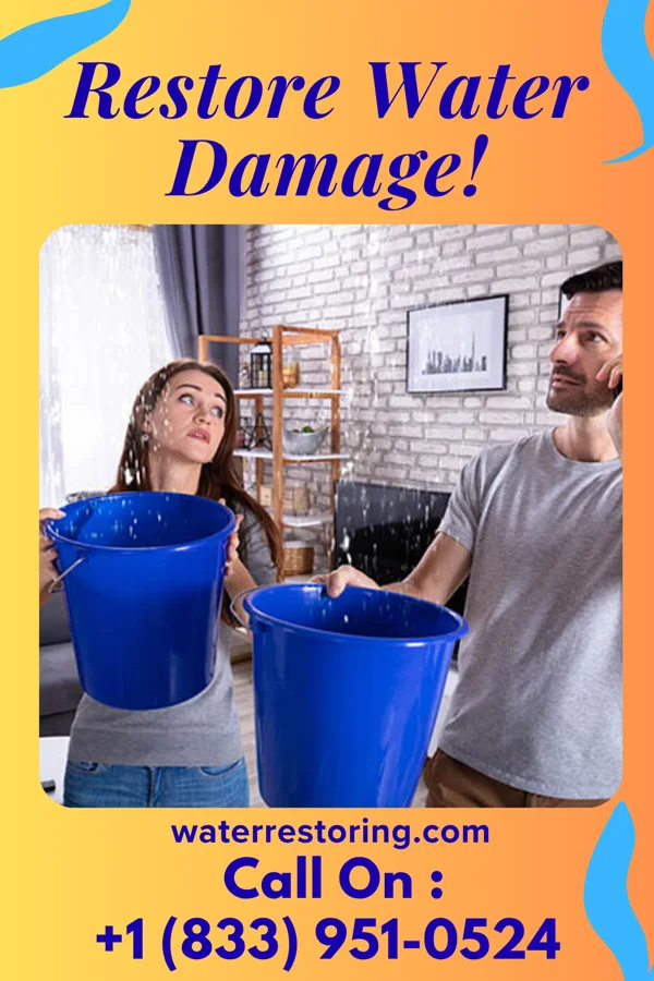 water restoration Sterling Damage Recovery Paw Paw