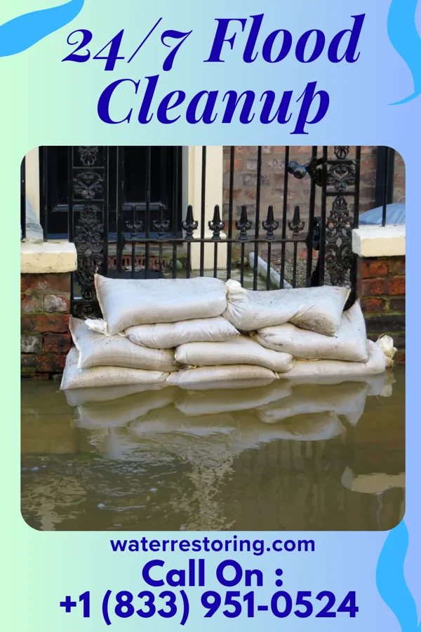 24/7 Flood Cleanup in Paw Paw, IL