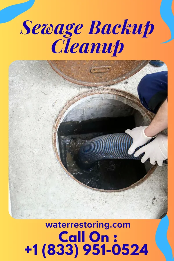 Sewage Backup Cleanup in Paw Paw, IL